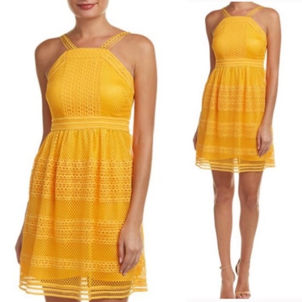 Tahari ASL Honey On My Mind Lace Apron Neck Dress Size 2 NEW - Picture 2 of 10